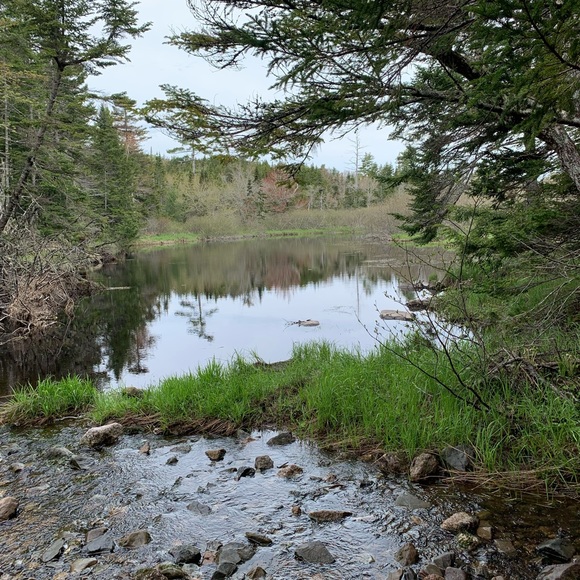 Meet your Posher, Andy - Picture 1 of 1